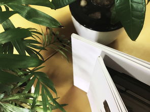 成都百鉑文化 專業畫冊制作與產品宣傳冊定做服務